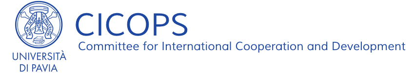 Program Image